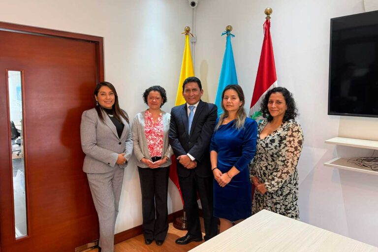 Delegación Perú visita ONUDI Colombia por el Proyecto PEI