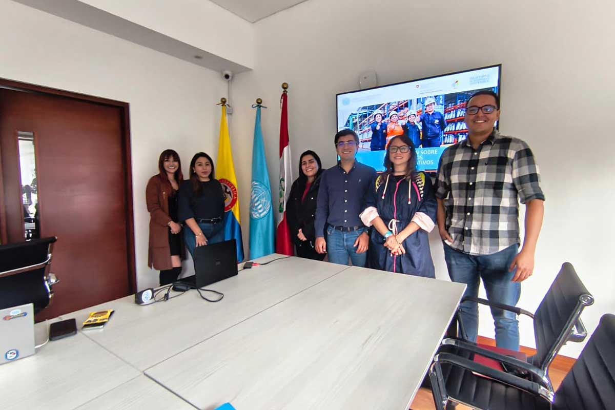 Capacitación en procedimientos administrativos ONUDI para GEIPP Colombia