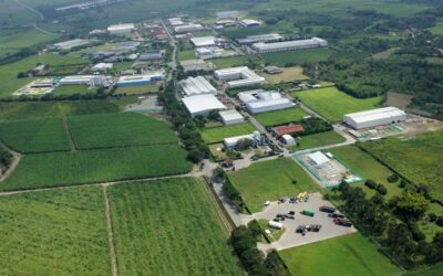 Simbiosis Industrial — Zona Franca del Cauca