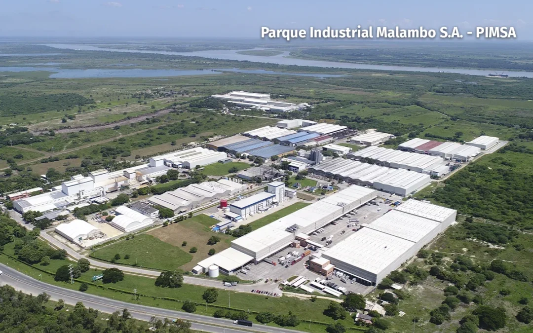 Por qué la confianza y la colaboración fortalecen la competitividad en los Parques Eco-Industriales