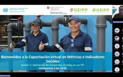 Sesión 2 de 2 – Capacitación en Métricas e Indicadores Sociales: Aplicación de muestreos sociales en un PEI