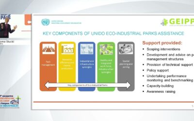 ¿Qué es y como funciona el Programa Global de Parques Eco-Industriales? Por Jerome Stucki