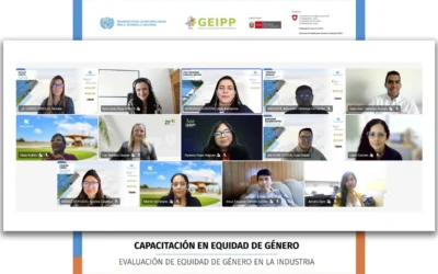 Capacitación en Equidad de Género en la Industria | PEI Colombia y PEI Perú