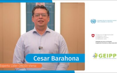 ¿Qué son los PEI? – Cesar Barahona